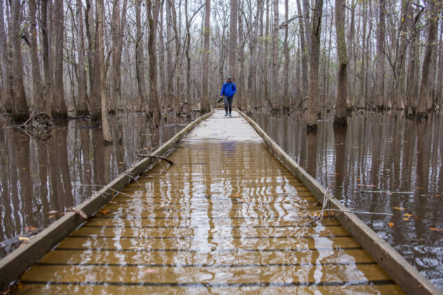 Congaree National Park