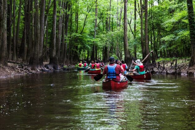 Congaree National Park