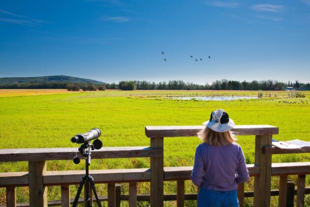 Creamer's Field Migratory Waterfowl Refuge