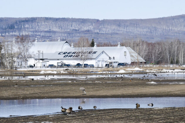 Creamer's Field Migratory Waterfowl Refuge