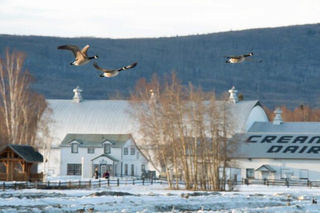 Creamer's Field Migratory Waterfowl Refuge