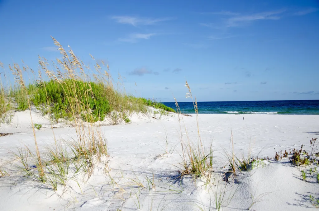 Davis Bayou Area Gulf Islands National Seashore