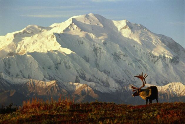 Denali National Park and Preserve