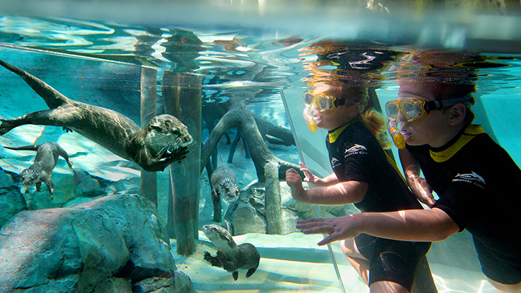 Discovery Cove