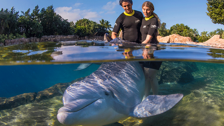Discovery Cove