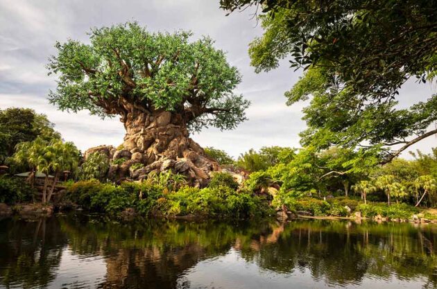 Disney's Animal Kingdom Theme Park