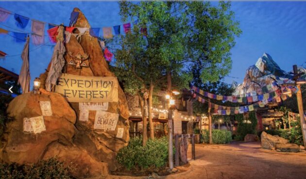 Disney's Animal Kingdom Theme Park