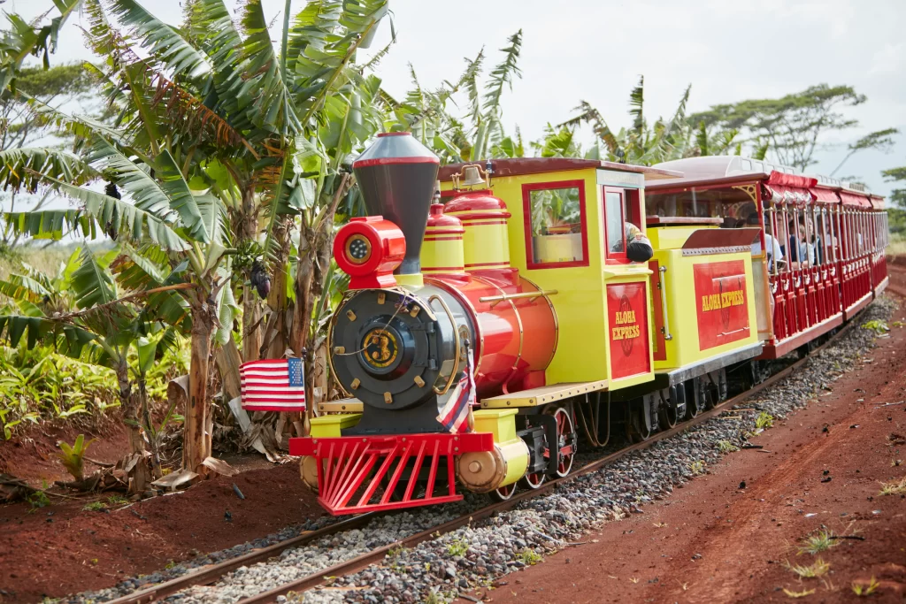 Dole Plantation