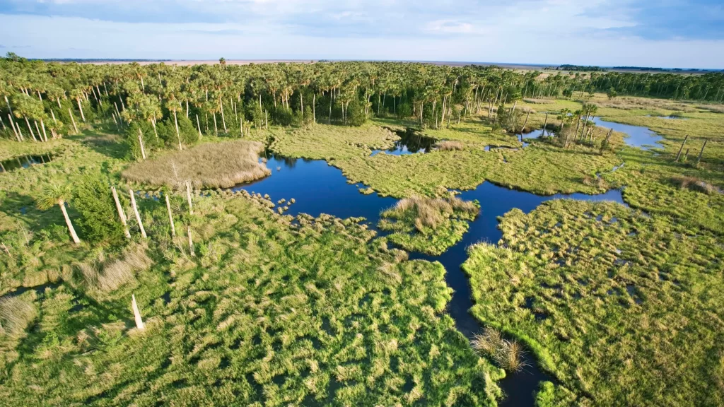 Everglades National Park