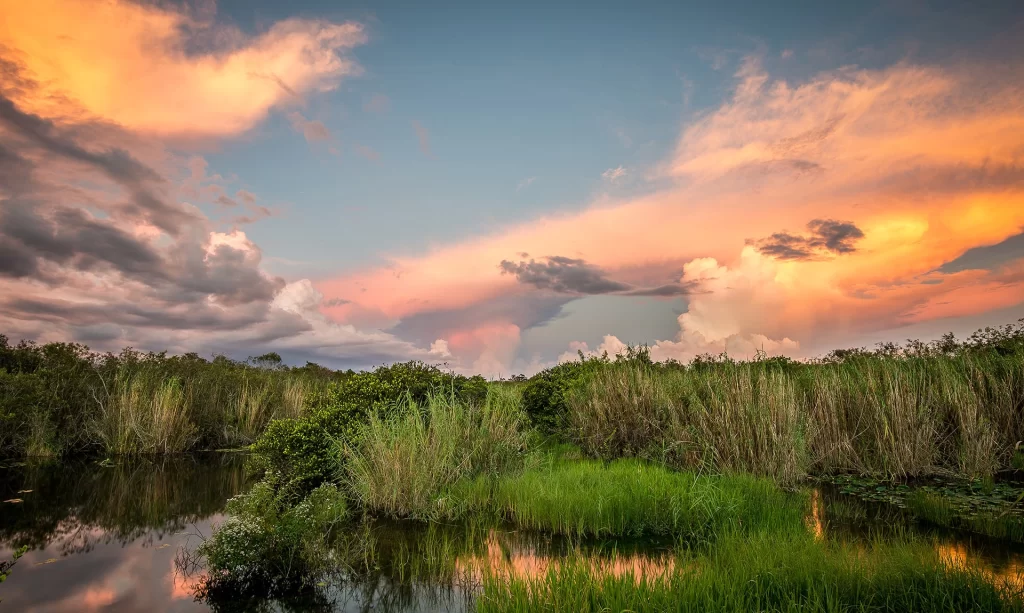 Everglades National Park
