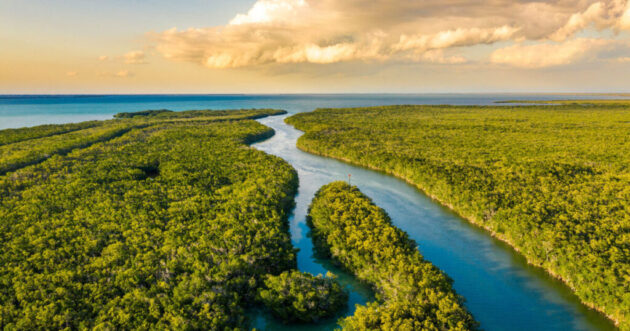 Everglades National Park