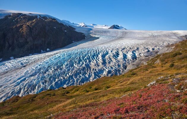 Exit Glacier