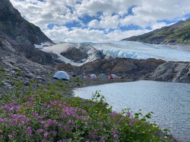Exit Glacier