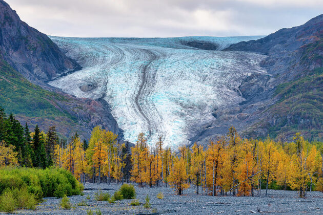 Exit Glacier