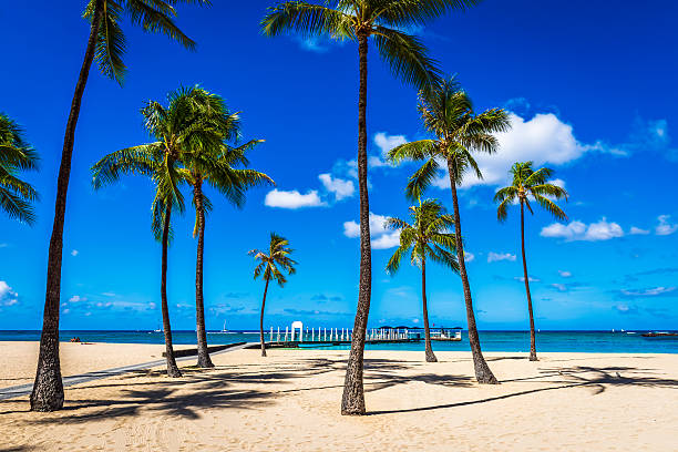 Fort DeRussy Beach Park