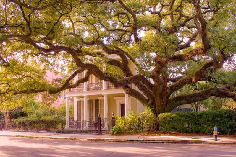 Garden District