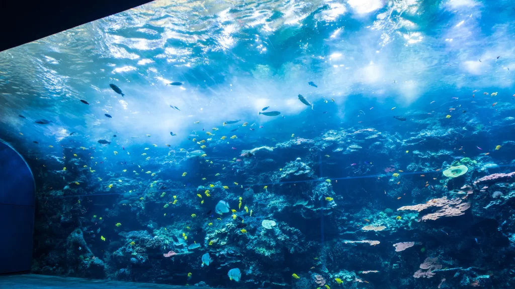 Georgia Aquarium