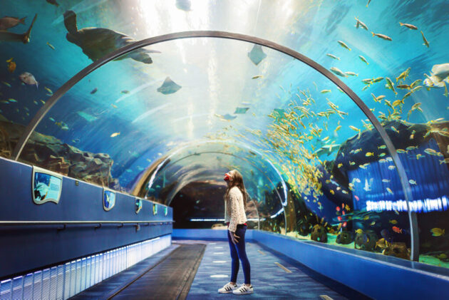 Georgia Aquarium