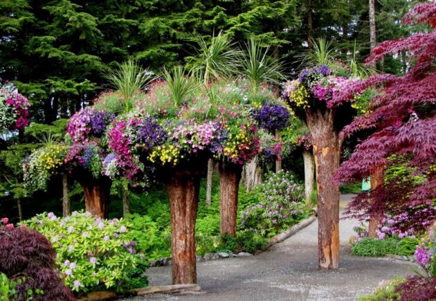 Glacier Gardens Rainforest Adventure