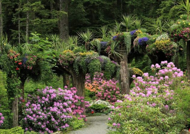 Glacier Gardens Rainforest Adventure
