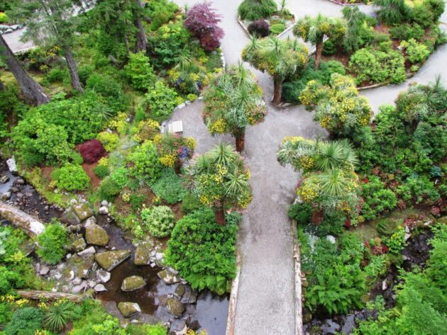 Glacier Gardens Rainforest Adventure