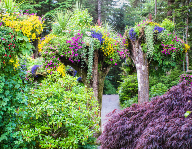 Glacier Gardens Rainforest Adventure