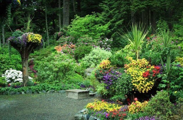 Glacier Gardens Rainforest Adventure