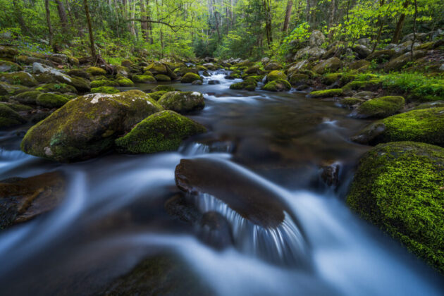Great Smoky Mountains National Park