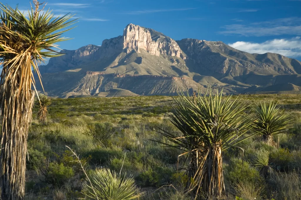 Guadalupe Mountains National Park