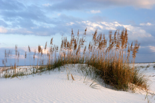 Gulf State Park