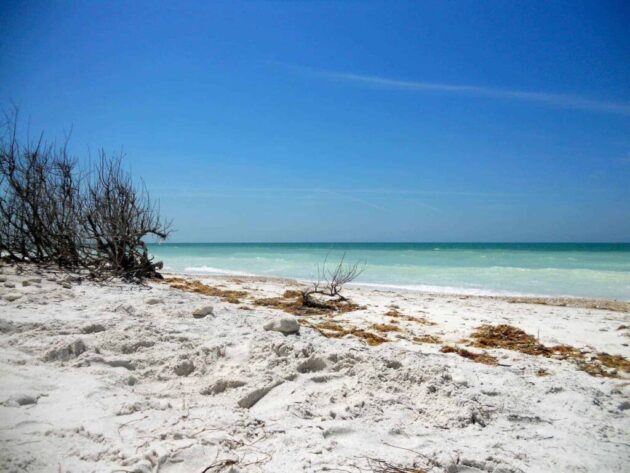Honeymoon Island State Park
