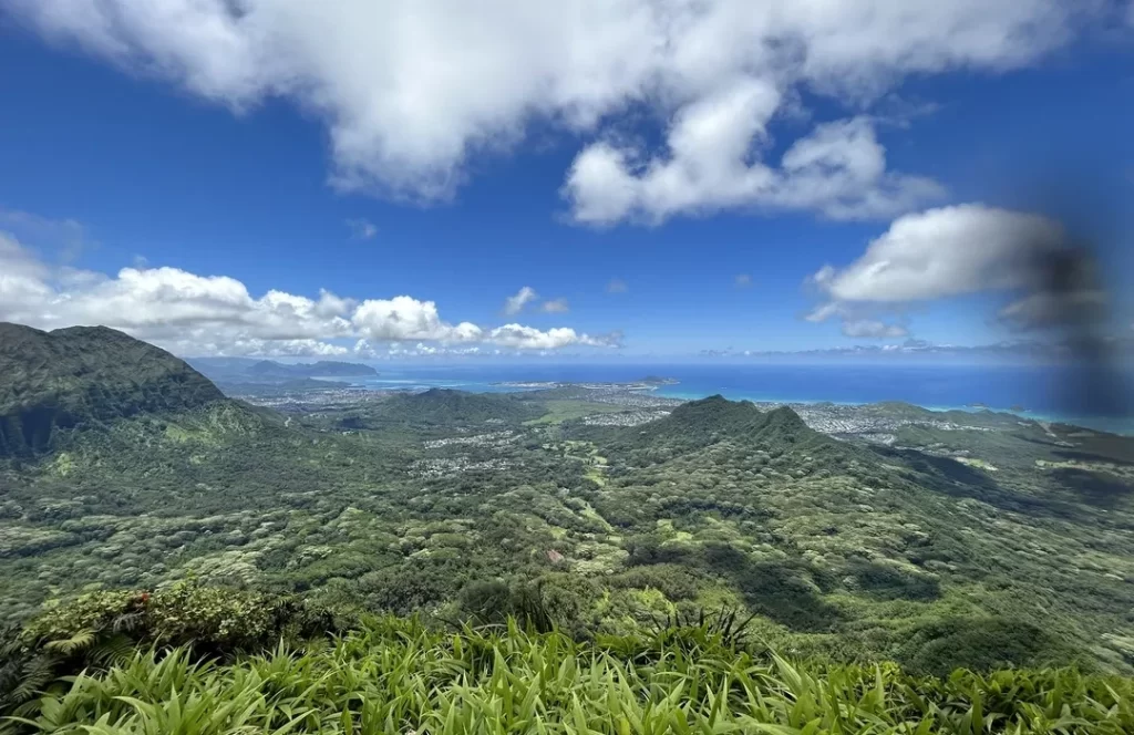 Honolulu Watershed Forest Reserve