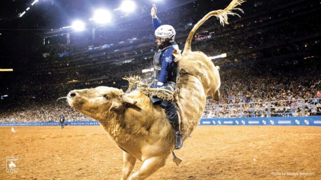 Houston Livestock Show and Rodeo