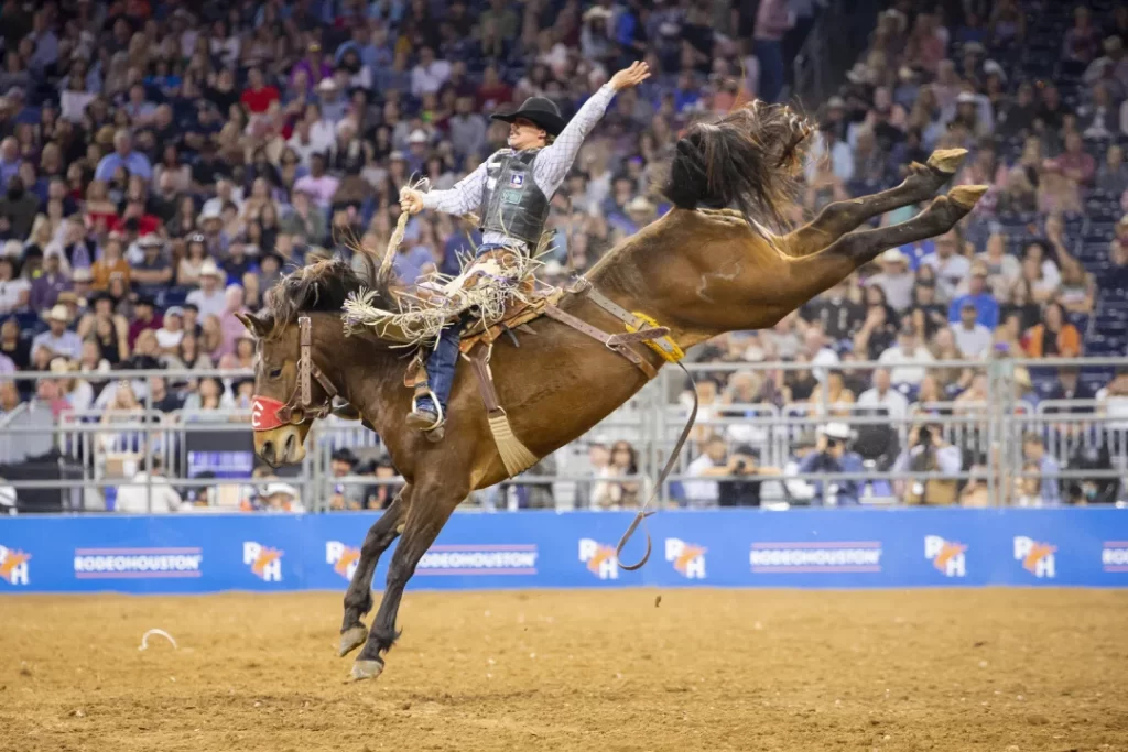 Houston Livestock Show and Rodeo