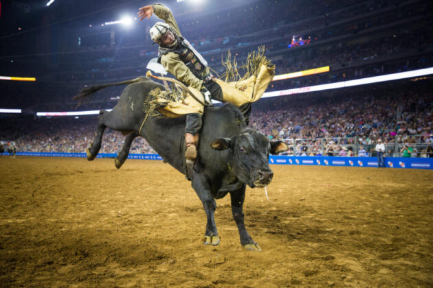 Houston Livestock Show and Rodeo