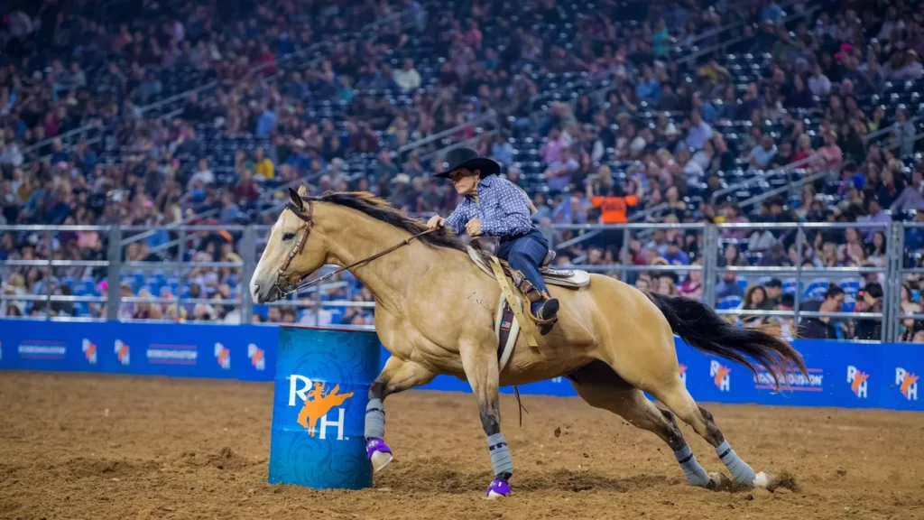 Houston Livestock Show and Rodeo