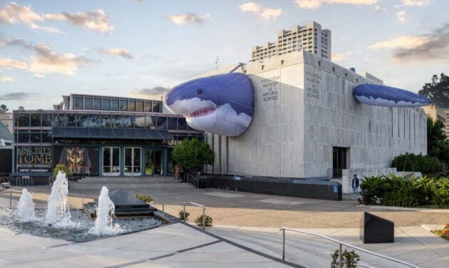 Houston Museum of Natural Science ★★