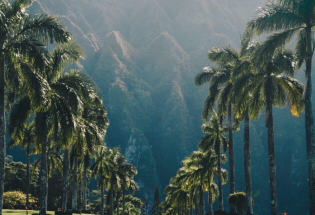Hoʻomaluhia Botanical Garden