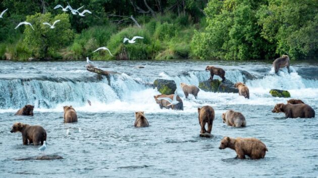 Katmai National Park and Preserve