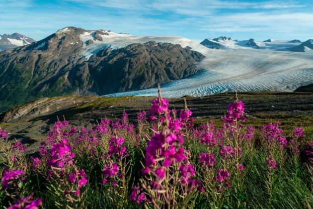 Kenai Fjords National Park