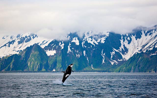 Kenai Fjords National Park