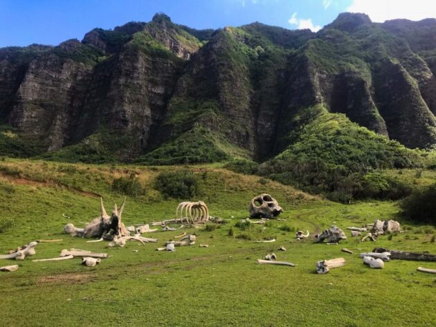 Kualoa Ranch