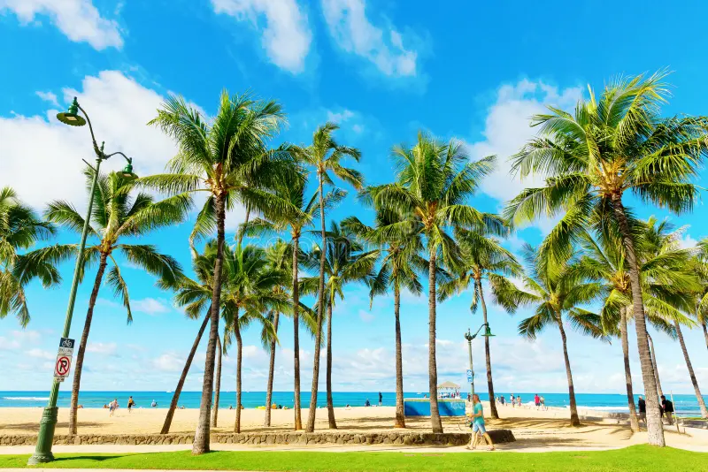 Kuhio Beach