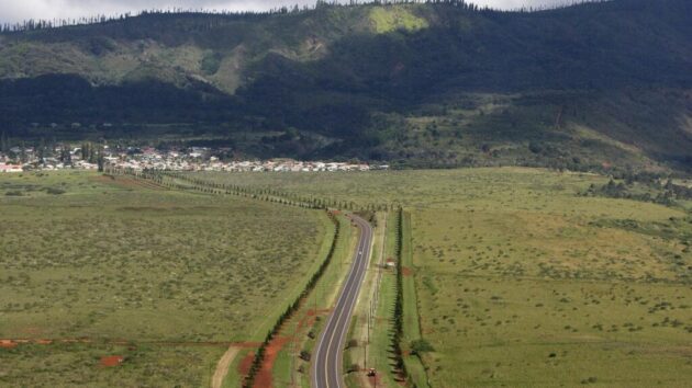 Lanai City