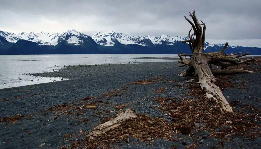 Lowell Point