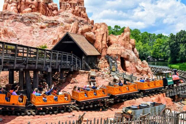 Magic Kingdom Park