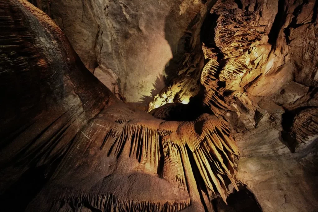Mammoth Cave National Park
