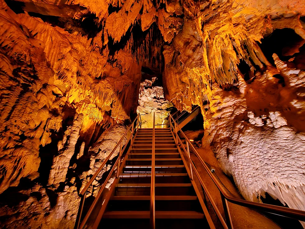Mammoth Cave National Park