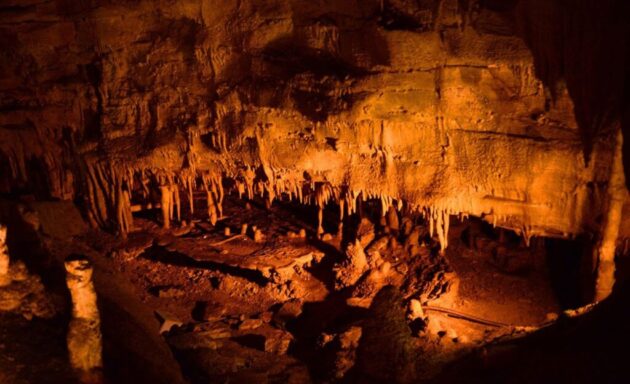 Mammoth Cave National Park