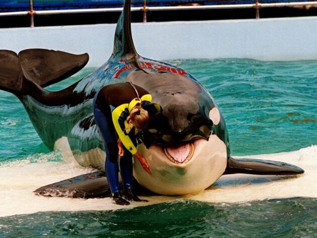 Miami Seaquarium